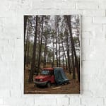 Pine Trees and a red van high quality 2