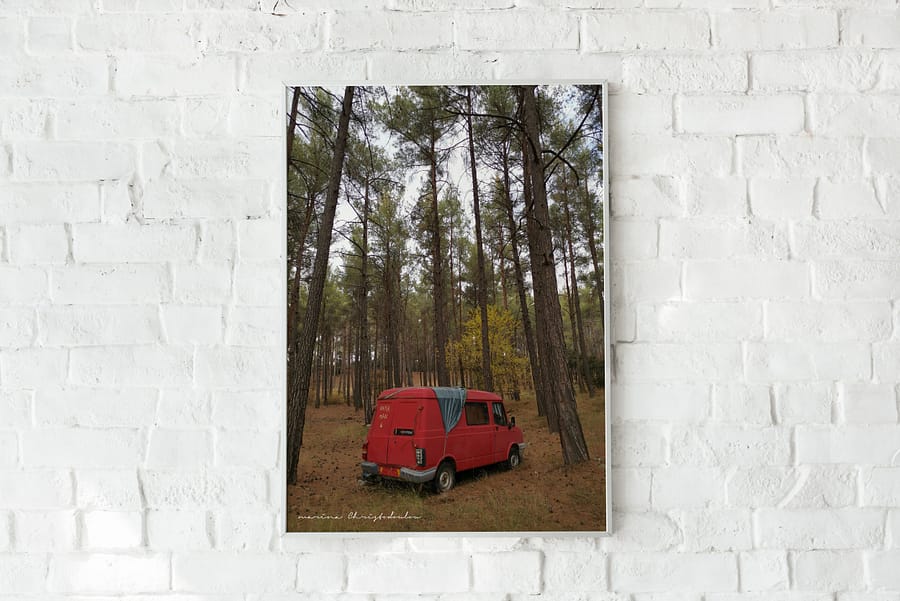 Pine Trees and a red van high quality 1